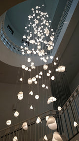 Shell Chandelier