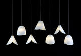 Shell Chandelier