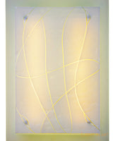 Ceiling/Wall Fixtures