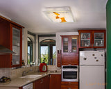 Ceiling/Wall Fixtures